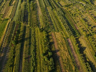 Casa per le vacanze Stankovci Ambiente 47