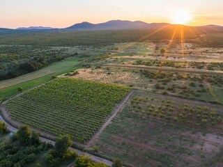 Casa per le vacanze Stankovci Ambiente 46