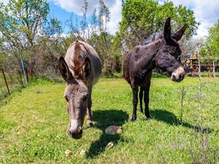 Casa de vacaciones Podlug  56