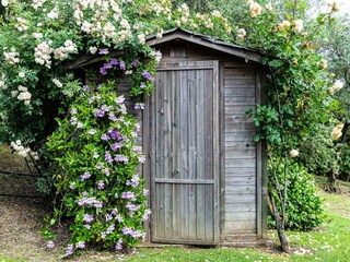 Villa Montecarlo  112