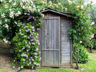 Villa Montecarlo  100