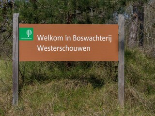 Casa de vacaciones Renesse Entorno 35