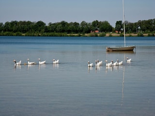 Ferienpark Heel Umgebung 14