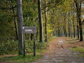 Vakantiepark Heel Omgeving 16