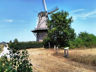 Parque de vacaciones Nieuwleusen Entorno 16