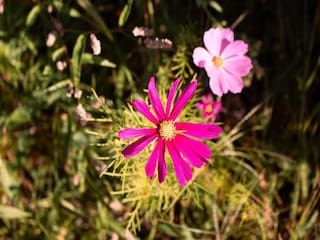 Holiday park Nieuwleusen  23