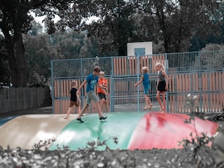 Parque de vacaciones Nieuwleusen  31