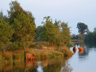 Parque de vacaciones Nieuwleusen Entorno 11