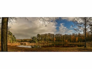 Parque de vacaciones Nieuwleusen Entorno 9