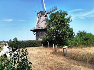 Parque de vacaciones Nieuwleusen Entorno 10