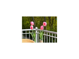 Appartamento per vacanze Wangerooge  24