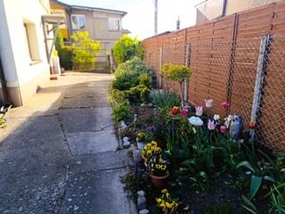 Apartamento Misdroy Grabación al aire libre 6