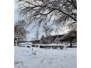 Winter_Garten_Ausblick