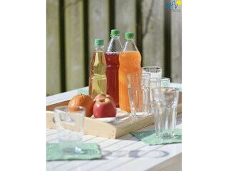 Vakantiehuis Minsen  25