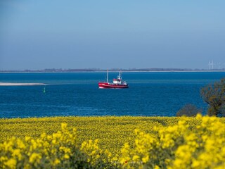 Ferienwohnung Büsum Umgebung 17