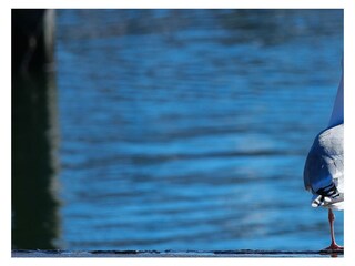 Ferienwohnung Büsum Umgebung 23