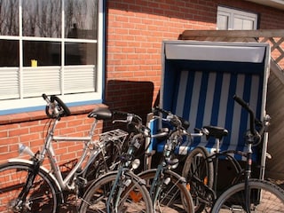 Sport / Aktivitäten