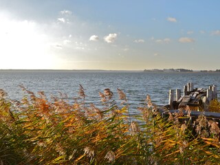 Bodden direkt 100 m Luftlinie hinter dem Haus