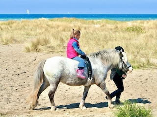 Sport / Aktivitäten