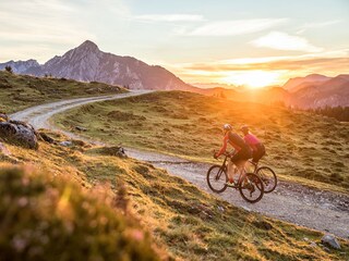 Bike- und Radwege