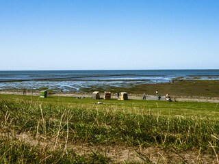 Landschaft
