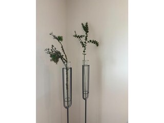 Ferienwohnung Olpenitz Außenaufnahme 19