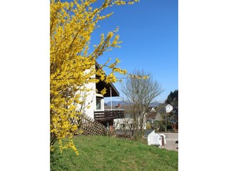 Blick vom Richard-Löwenherz Wanderweg