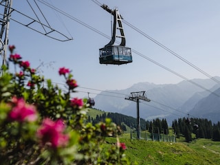 Hoch hinauf über Alpenrosen
