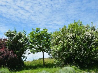 Ferienhaus Châtillon-Saint-Jean Umgebung 16