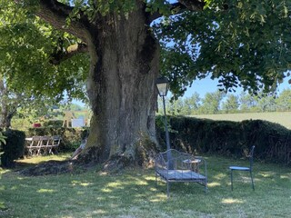 Ferienhaus Châtillon-Saint-Jean Umgebung 18