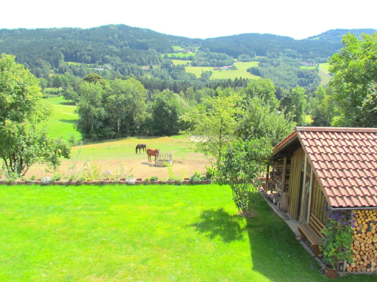 Unser Garten mit Aussicht