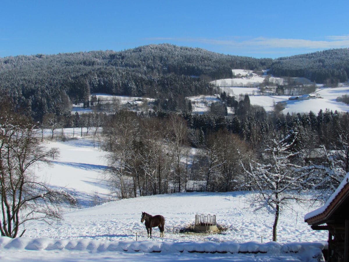 Aussicht ins Menachtal