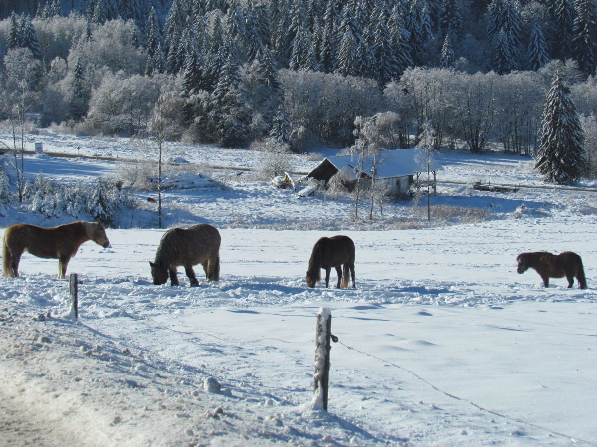 Wandern in traumhafter Landschaft