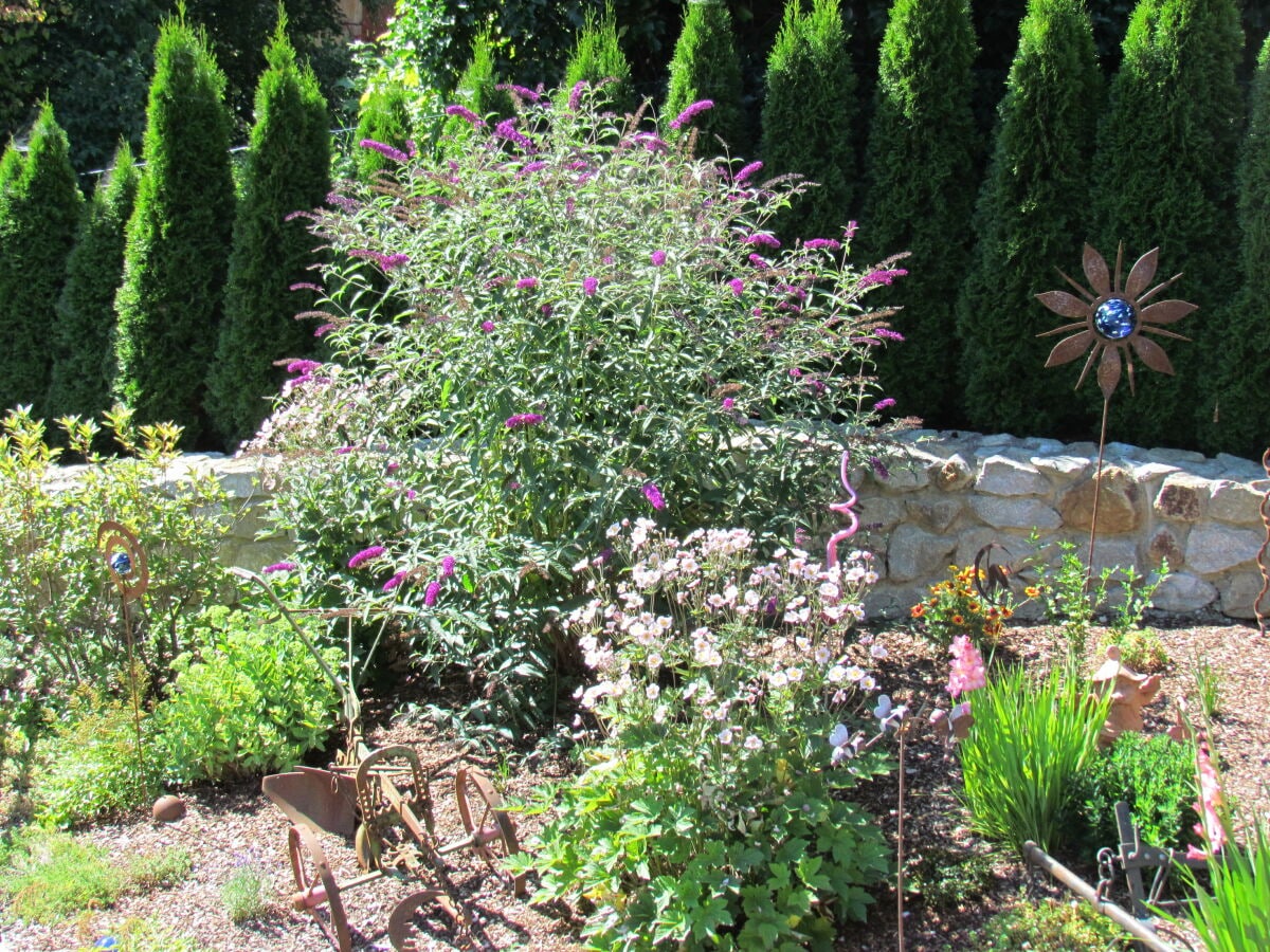 Garten im Frühsommer