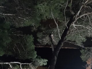 Apartment Ugljan (Ort)  9