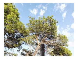 Apartment Ugljan (Ort)  35