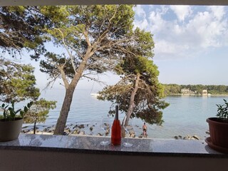 Apartment Ugljan (Ort)  36