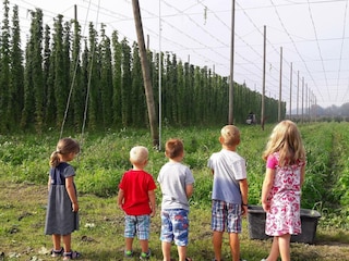 Kinder bei der Hopfenernte