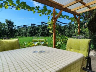 Holiday apartment Eriskirch Outdoor Recording 2