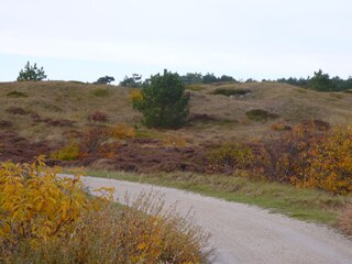 Appartamento per vacanze Egmond aan Zee Ambiente 16
