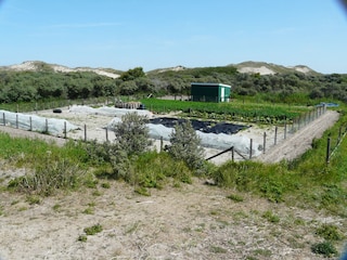 Eine eigene EKO-Gemüßegarten im National Park 1200 m.