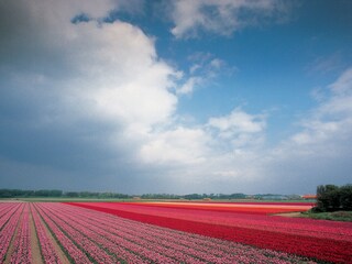 Appartamento per vacanze Egmond aan Zee Ambiente 22