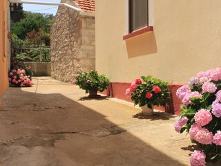 Apartment Veli Rat  12