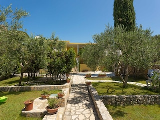 Ferienhaus Petrcane Außenaufnahme 15