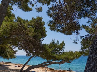 Casa per le vacanze Petrcane Registrazione all'aperto 20