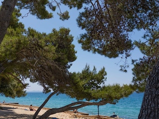 Ferienhaus Petrcane Außenaufnahme 20