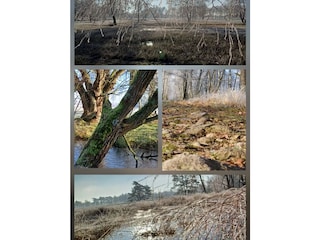 Pietzmoor kalte Landschaft