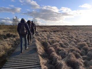 Wandern im Hohen Venn