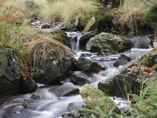 Überall kleine Moorflüsse