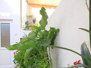 Apartment Baška Voda  5